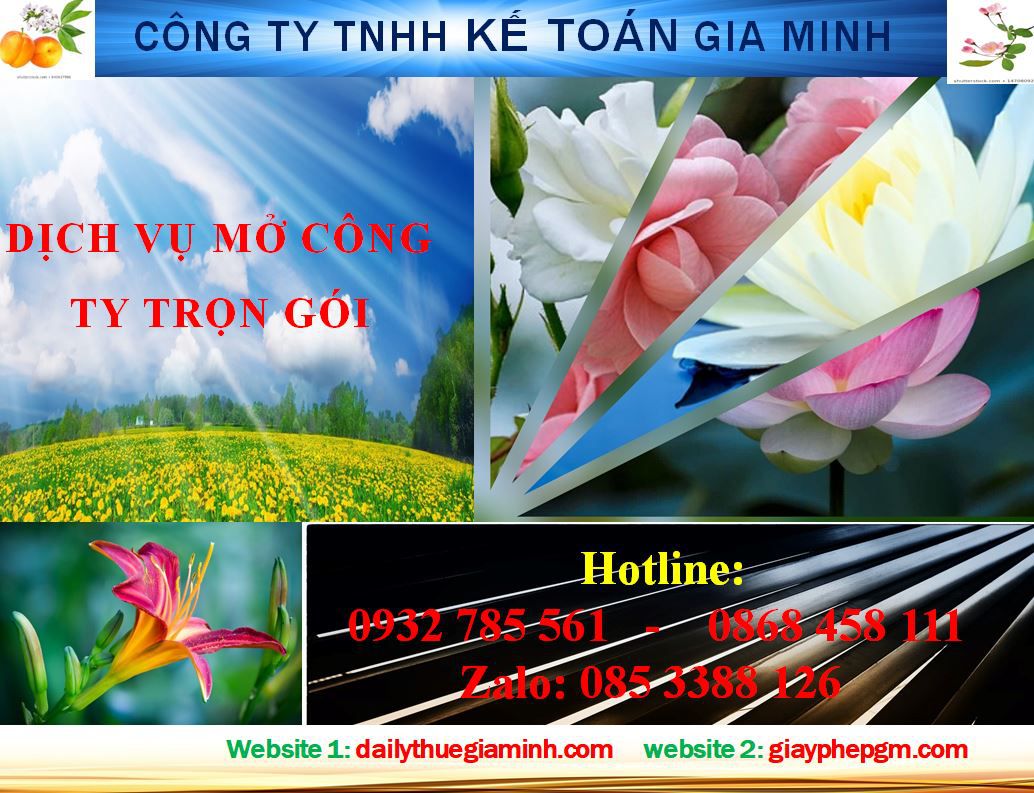 Dịch vụ lập công ty tại Thành Phố Hồ Chí Minh