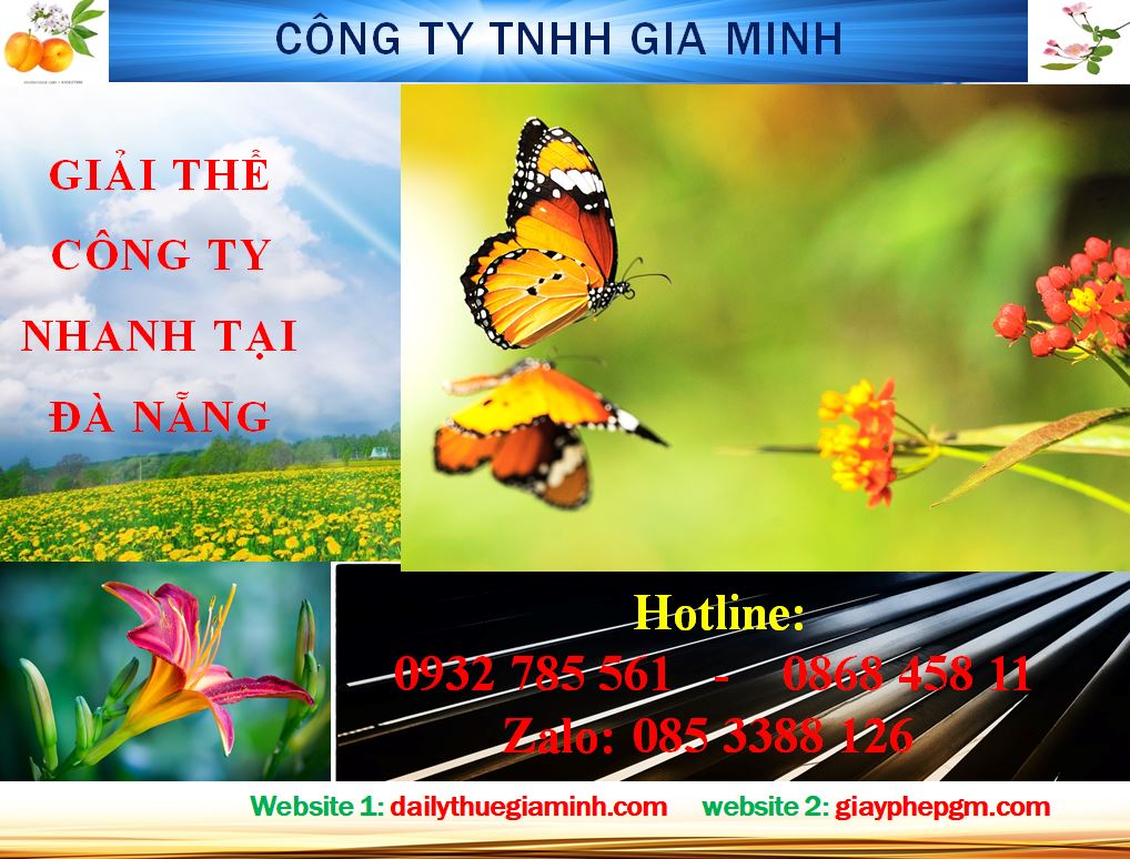 Giải Thể Công Ty Nhanh Tại Đà Nẵng – Dịch Vụ Uy Tín, Trọn Gói 4 Thủ tục giải thể công ty nhanh tại Đà nẵng
