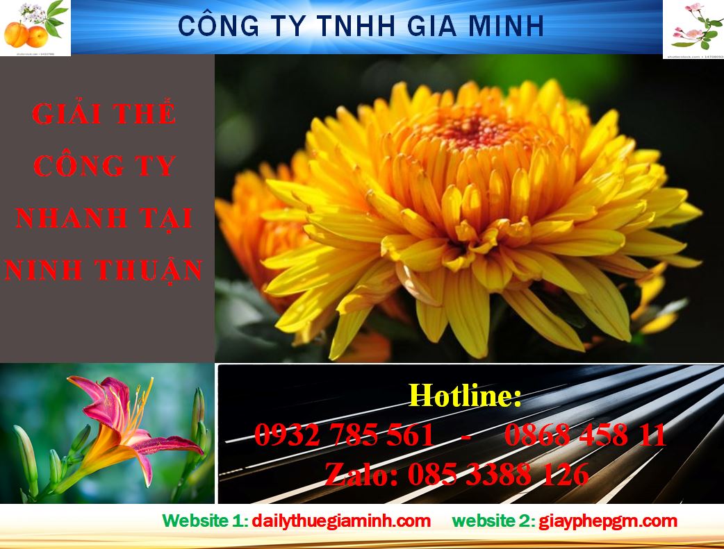Những điều cần biết khi giải thể công ty tại Ninh Thuận 4 Thủ tục giải thể công ty nhanh tại Ninh Thuận