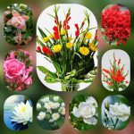 giayphepgm.com thanh lap cong ty tai bac giang 3