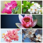 Dịch vụ thành lập công ty Bắc Kạn