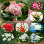 Dịch vụ mở công ty tại Bắc Kạn 6 Thành lập công ty trọn gói ở Bắc Kạn
