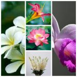 Dịch vụ thành lập công ty Đà Nẵng 6 Dịch vụ thành lập công ty Đà Nẵng