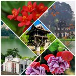 Dịch vụ thành lập công ty Điện Biên 6 Cần thành lập công ty Điện Biên
