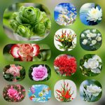 Dịch vụ mở công ty tại Điện Biên 6 Dịch vụ mở công ty tại Điện Biên