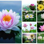 Dịch vụ thành lập công ty Hà Giang 6 Dịch vụ thành lập công ty Hà Giang