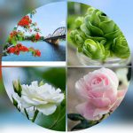 Dịch vụ mở công ty tại Hà Giang 6 Thành lập công ty trọn gói ở Hà Giang