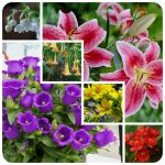Dịch vụ thành lập công ty tại Hà Nội 6 Cần thành lập công ty Hà Nội