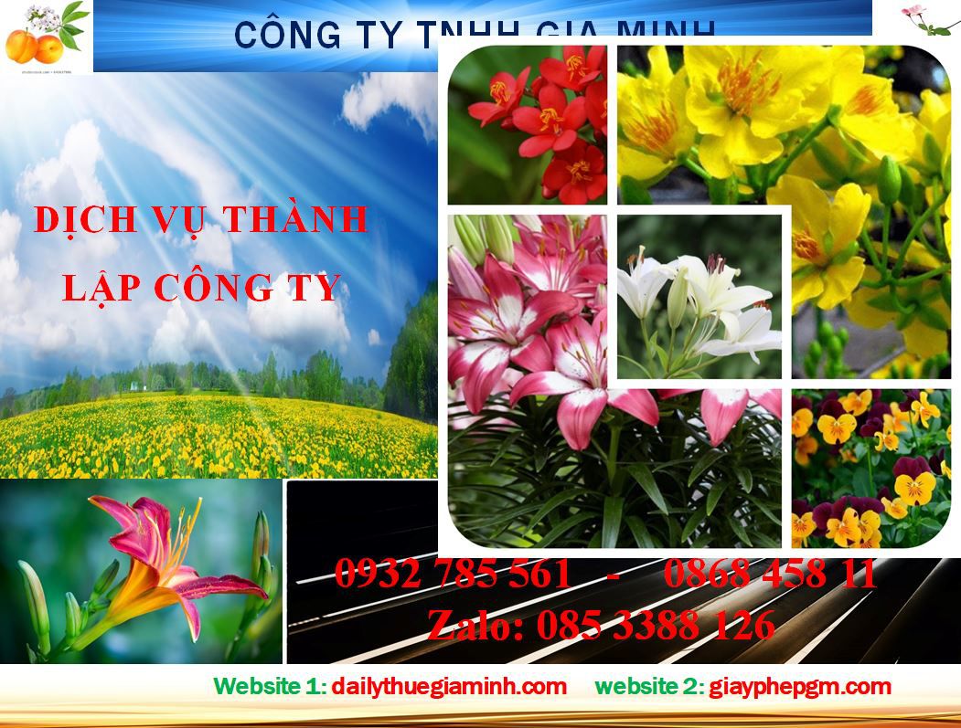 Dịch vụ thành lập công ty tại Hà Nội 4 Thủ tục thành lập công ty Hà Nội