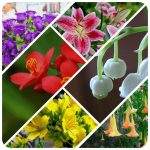 Dịch vụ thành lập công ty Hải Dương 6 Dịch vụ thành lập công ty Hải Dương