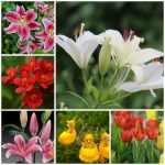 Dịch Vụ Thành Lập Công Ty Tại Hải Phòng - Hỗ Trợ Từ A Đến Z 6 Dịch vụ thành lập công ty Hải Phòng