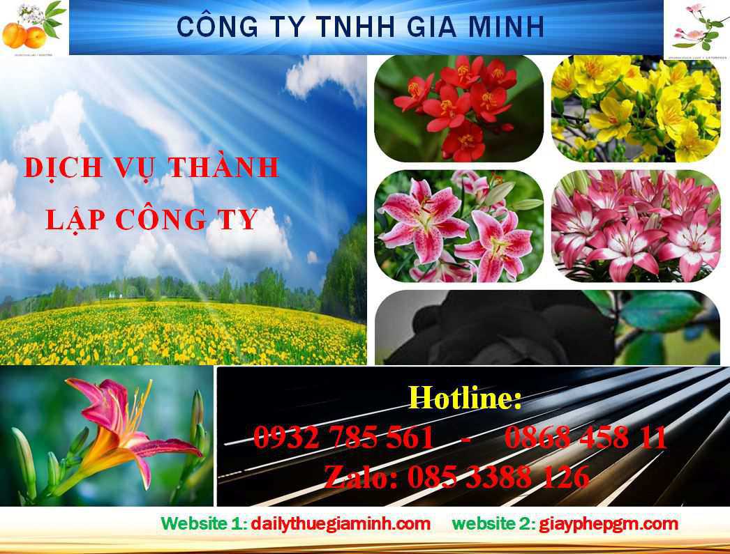 Dịch Vụ Thành Lập Công Ty Tại Hải Phòng - Hỗ Trợ Từ A Đến Z 4 Thủ tục thành lập công ty Hải Phòng