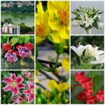 Dịch vụ thành lập công ty Hòa Bình 6 Cần thành lập công ty Hòa Bình