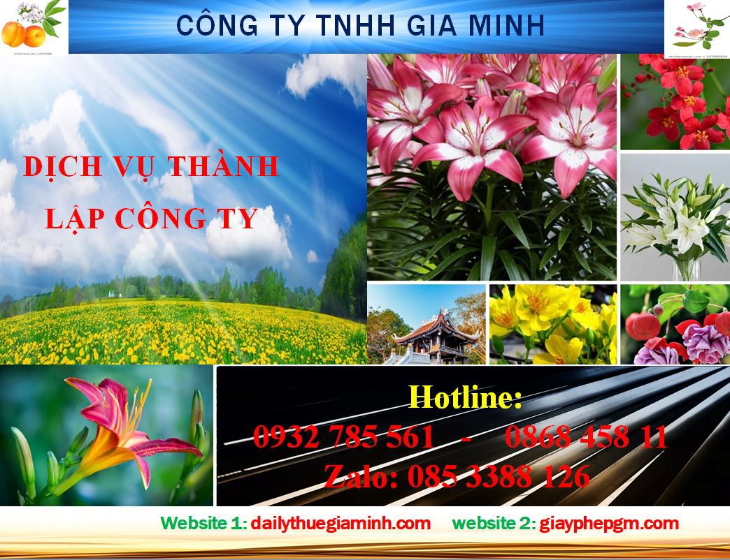 Dịch vụ thành lập công ty Hòa Bình 4 Thủ tục thành lập công ty Hòa Bình