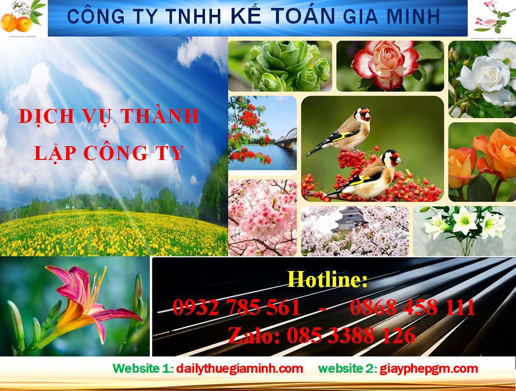 Thành lập công ty ở huyện Bắc Tân Uyên 4 Dịch vụ thành lập công ty ở huyện Bắc Tân Uyên