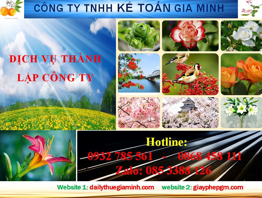 Thành lập công ty ở huyện Dầu Tiếng 4 Dịch vụ thành lập công ty ở huyện Dầu Tiếng