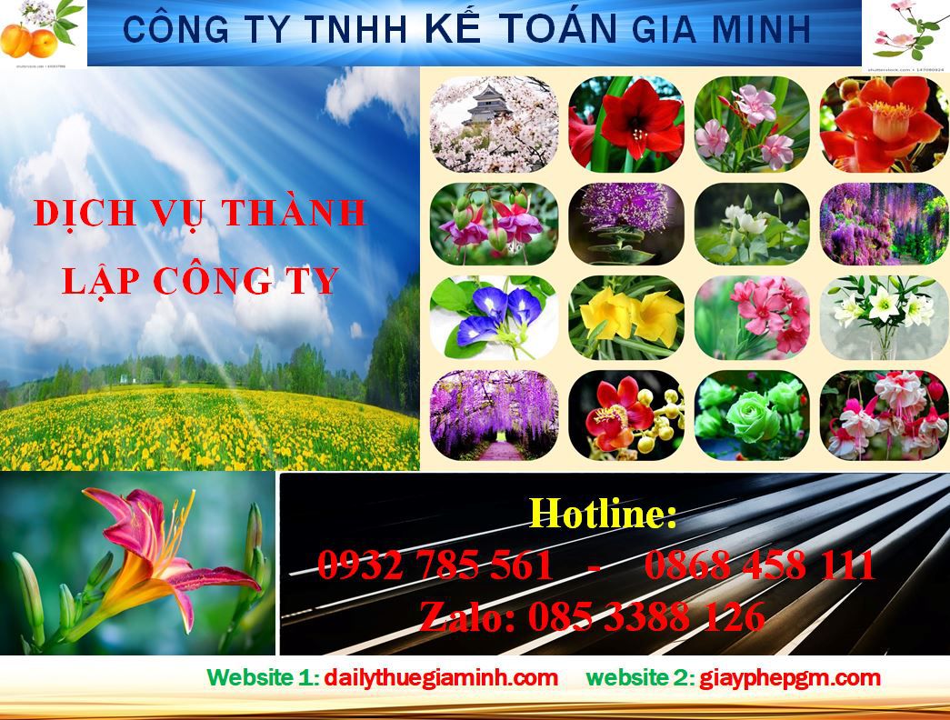 Thành lập công ty ở huyện Đông Anh 4 Dịch vụ thành lập công ty ở huyện Đông Anh