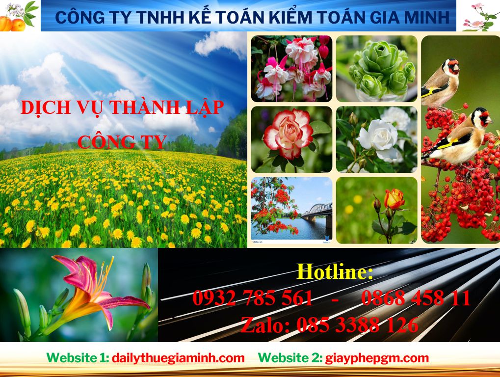 Thủ tục thành lập công ty tại Kiên Giang 4 Thủ tục thành lập doanh nghiệp tại Kiên Giang