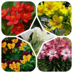 Dịch vụ thành lập công ty Lai Châu 6 Dịch vụ thành lập công ty Lai Châu