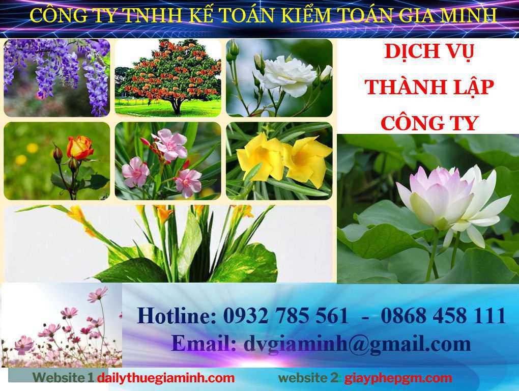 Thủ tục thành lập công ty tại Lâm Đông 3 Thành lập doanh nghiệp tại Lâm Đông