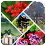 Dịch vụ thành lập công ty Lạng Sơn 6 Dịch vụ thành lập công ty Lạng Sơn