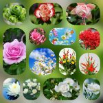 Dịch vụ mở công ty tại Lạng Sơn 6 Thành lập công ty trọn gói ở Lạng Sơn