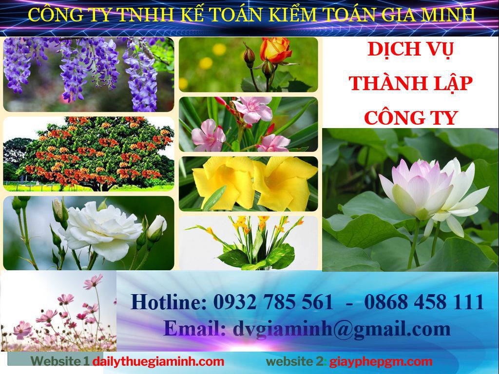 Thủ tục thành lập công ty tại Lào Cai 4 Thành lập doanh nghiệp tại Lào Cai