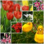 Dịch vụ thành lập công ty Nam Định 6 Dịch vụ thành lập công ty Nam Định