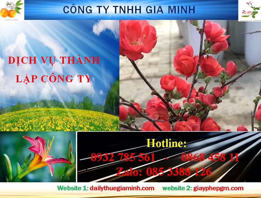 Dịch vụ thành lập công ty Nam Định 4 Thủ tục thành lập công ty Nam Định
