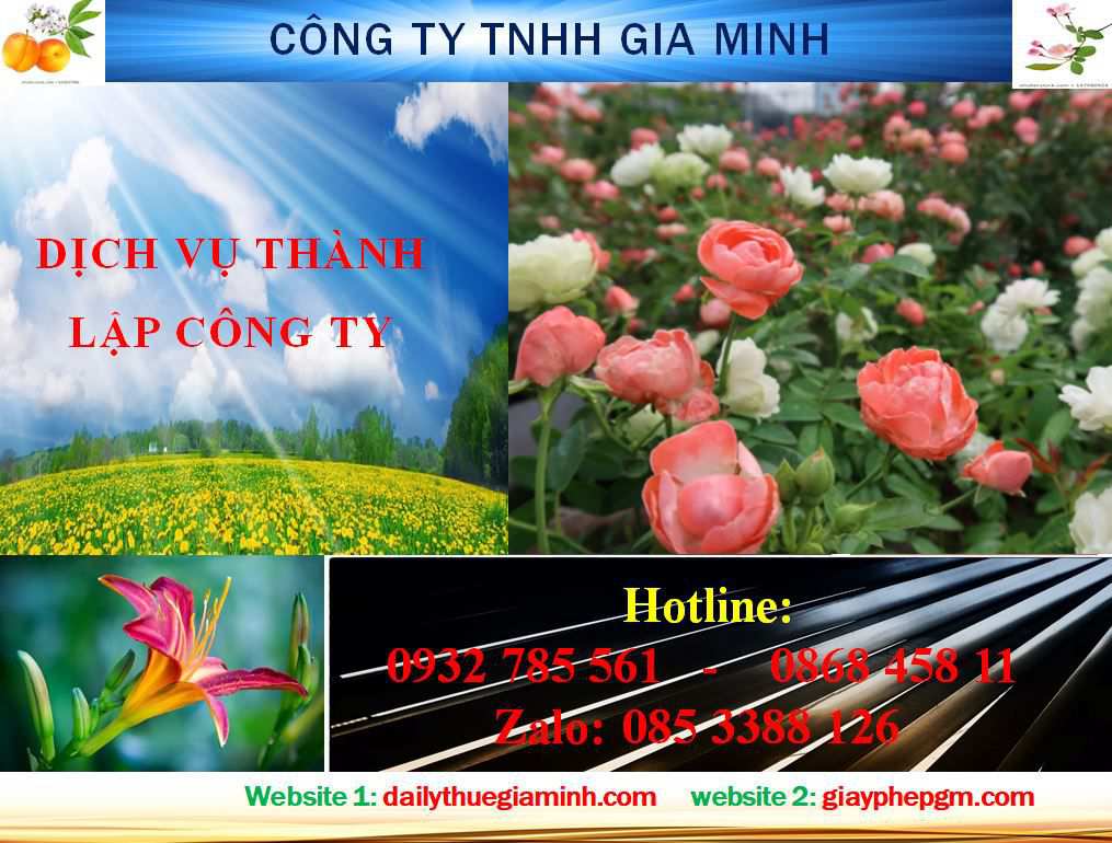 Dịch vụ thành lập công ty Ninh Bình 4 Thủ tục thành lập công ty Ninh Bình