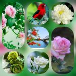 Dịch vụ mở công ty tại Quận 1 6 Thành lập công ty trọn gói ở Quận 1