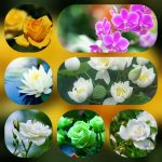 Dịch vụ mở công ty tại Quận 11 6 Thành lập công ty trọn gói ở Quận 11