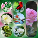 Dịch vụ mở công ty tại Quận 3 6 Thành lập công ty trọn gói ở Quận 3