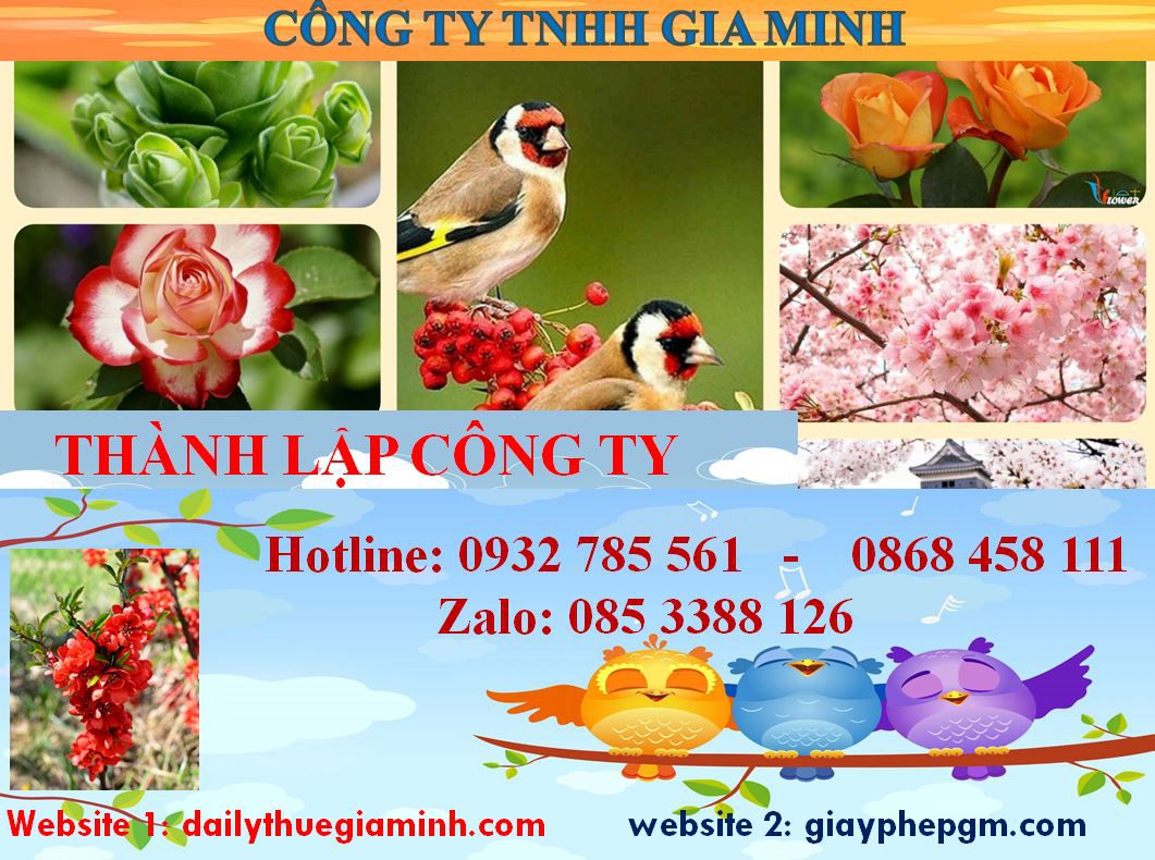 Thành lập công ty ở Quận 5 4 dịch vụ thành lập công ty tại Quận 5