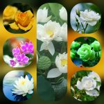 Dịch vụ mở công ty tại Quận 7 6 Thành lập công ty trọn gói ở Quận 7