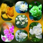 Dịch vụ mở công ty tại Quận Bình Tân 6 Thành lập công ty trọn gói ở Quận Bình Tân