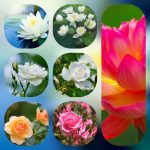 Dịch vụ mở công ty tại Quận Tân Bình 6 Thành lập công ty trọn gói ở Quận Tân Bình