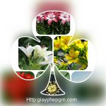 Dịch vụ thành lập công ty Quảng Bình 6 Dịch vụ thành lập công ty Quảng Bình