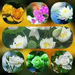 Dịch vụ mở công ty tại Quảng Trị 6 Thành lập công ty trọn gói ở Quảng Trị