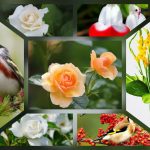 Dịch vụ mở công ty tại Sơn La 6 Thành lập công ty trọn gói ở Sơn La
