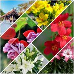 Dịch vụ thành lập công ty Thanh Hóa 6 Cần thành lập công ty Thanh Hóa