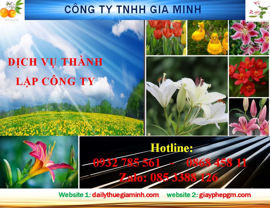 Dịch vụ thành lập công ty Thanh Hóa 4 Thủ tục thành lập công ty Thanh Hóa