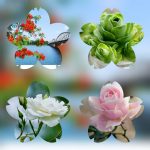 Dịch vụ mở công ty tại Thành Phố Hồ Chí Minh 6 Thành lập công ty trọn gói ở Thành Phố Hồ Chí Minh