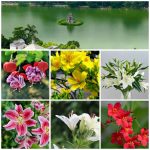 Dịch vụ thành lập công ty Tuyên Quang 6 Dịch vụ thành lập công ty Tuyên Quang