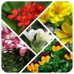 Dịch vụ thành lập công ty Vĩnh Phúc 6 Nhận dịch vụ thành lập công ty Vĩnh Phúc