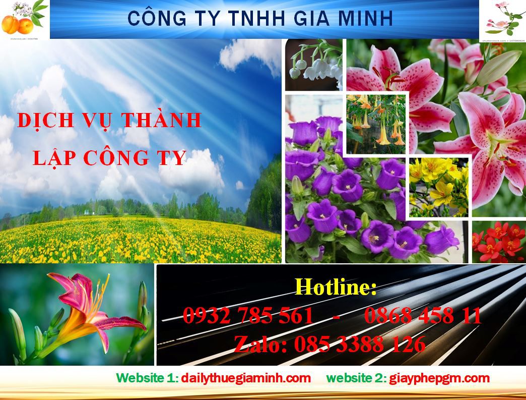 Dịch vụ thành lập công ty Vĩnh Phúc 4 Thủ tục thành lập công ty nhanh tại Vĩnh Phúc