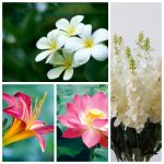 Dịch vụ thành lập công ty Vũng Tàu 6 Dịch vụ thành lập công ty Vũng Tàu