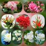 Dịch vụ mở công ty tại Vũng Tàu 6 Thành lập công ty trọn gói ở Vùng Tàu