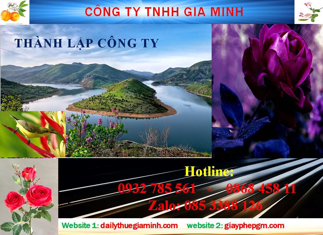 Dịch vụ thành lập công ty Vũng Tàu 4 Thủ tục thành lập công ty Vũng Tàu