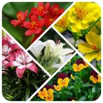 Dịch vụ thành lập công ty Yên Bái 6 Cần thành lập công ty Yên Bái